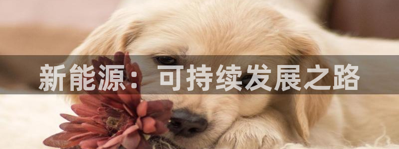 腾耀娱乐众推46996