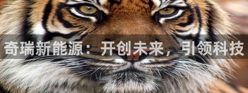腾众竞技娱乐
