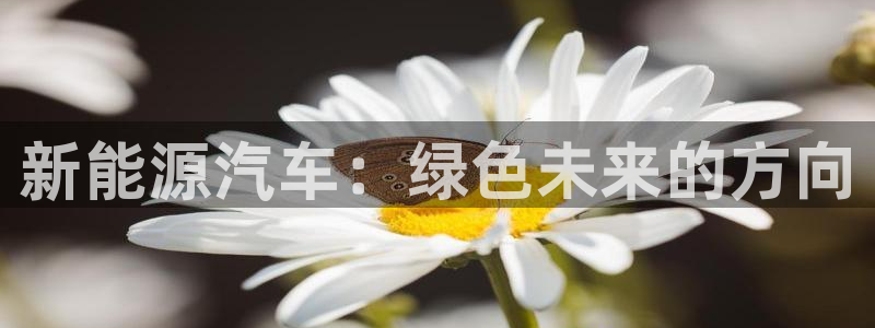 众腾娱乐代理怎么样