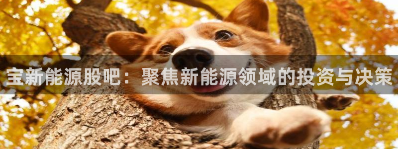 包头众腾娱乐密室逃脱