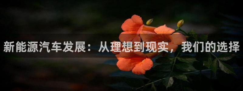 众东腾娱乐客服