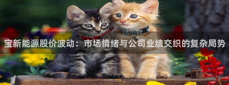 众腾娱乐平台群7O777
