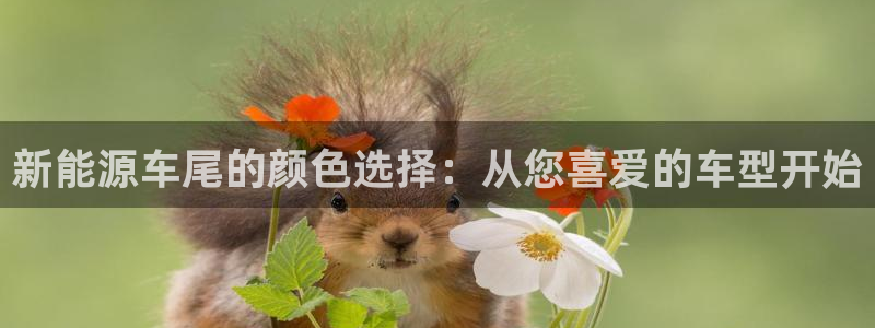 众联别墅g座上腾娱乐有限公司