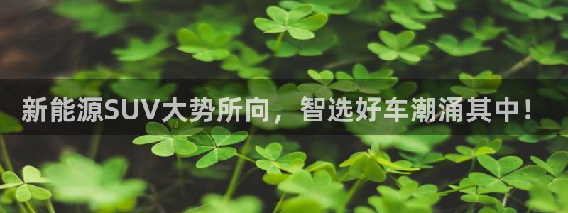 腾耀娱乐众320059：新能源SUV大势