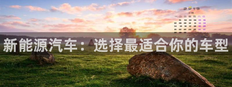 众腾娱乐发7O777：新能源汽车：选择最