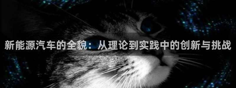 众腾娱乐平台下载：新能源汽车的全貌：从理