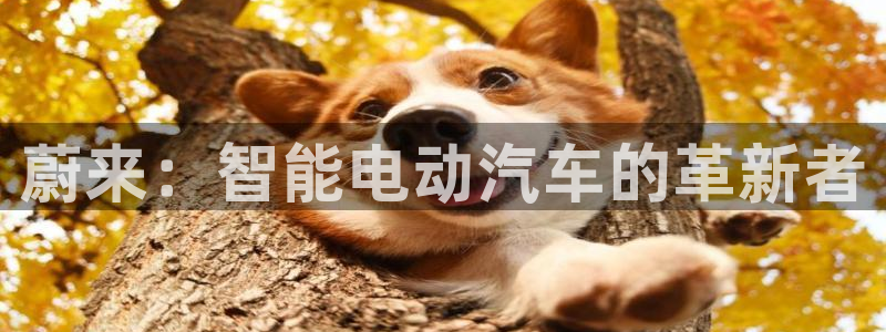腾耀娱乐众320059