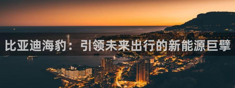 众腾娱乐app：比亚迪海豹：引领未来出行