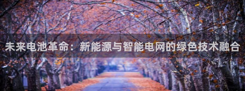众腾娱乐app：未来电池革命：新能源与智