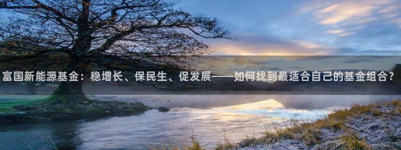 众腾娱乐开户：富国新能源基金：稳增长、保