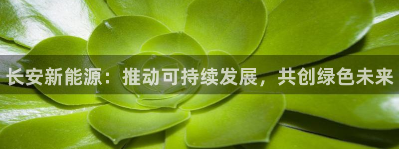 众腾娱乐博彩：长安新能源：推动可持续发展