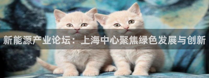 众腾娱乐平台下载：新能源产业论坛：上海中