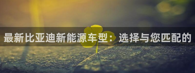 众腾娱乐注册：最新比亚迪新能源车型：选择