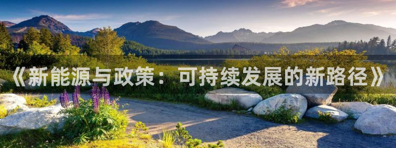 众腾娱乐APP下载：《新能源与政策：可持