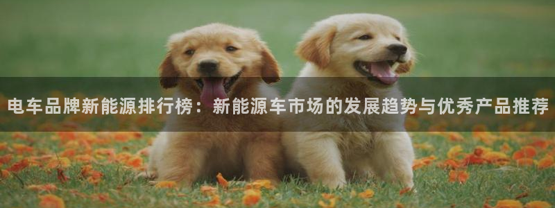 众腾娱乐app：电车品牌新能源排行榜：新