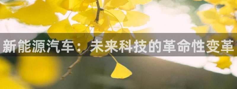 楚雄众腾娱乐在哪里