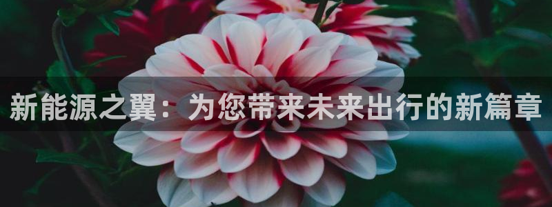 众腾娱乐博彩
