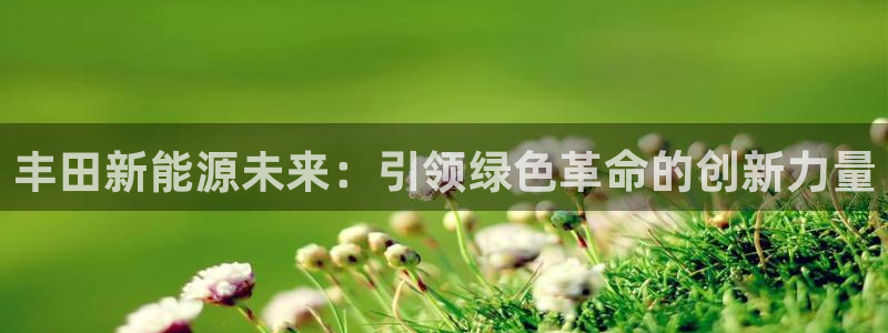 众腾娱乐下7O777：丰田新能源未来：引