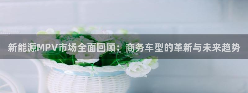 众东腾娱乐客服：新能源MPV市场全面回顾