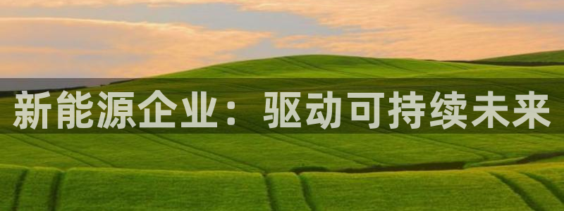 腾耀娱乐众推46996：新能源企业：驱动