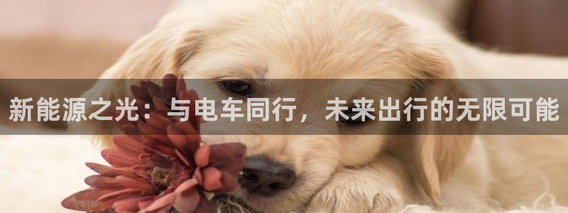 众腾娱乐下7O777：新能源之光：与电车