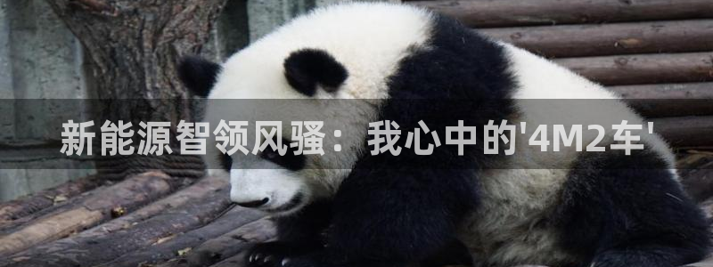 众东腾娱乐客服：新能源智领风骚：我心中的