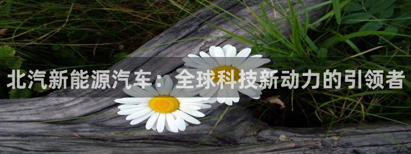 众腾娱乐登入探索无限空间：北汽新能源汽车