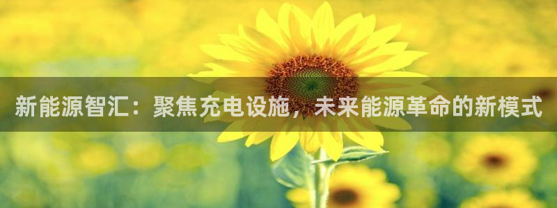 众腾娱乐平台官网入口
