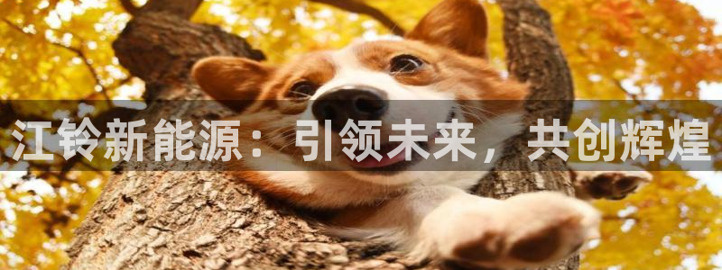 众腾娱乐总代理