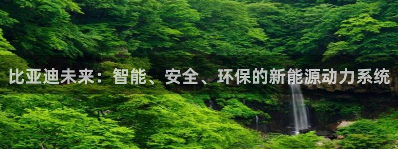腾耀娱乐众推55312:比亚迪未来:智能、安全、环保的新能源