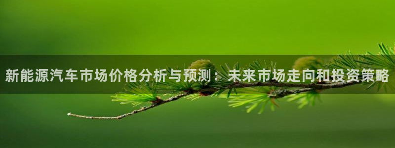 包头众腾娱乐：新能源汽车市场价格分析与预