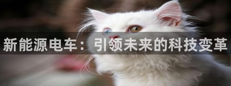 众腾娱乐毕 7O935：新能源电车：引领