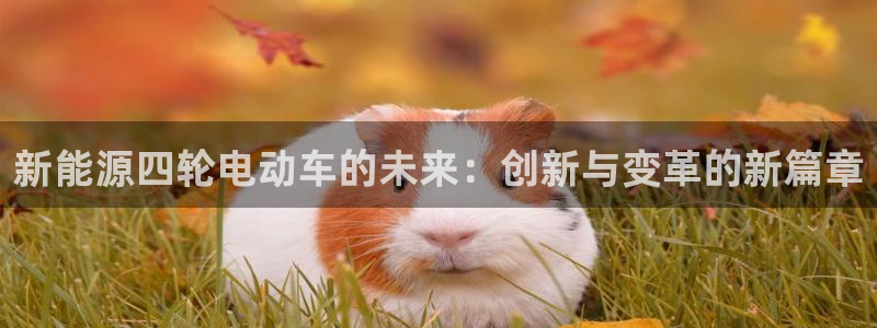 众腾娱乐平台群7O777：新能源四轮电动