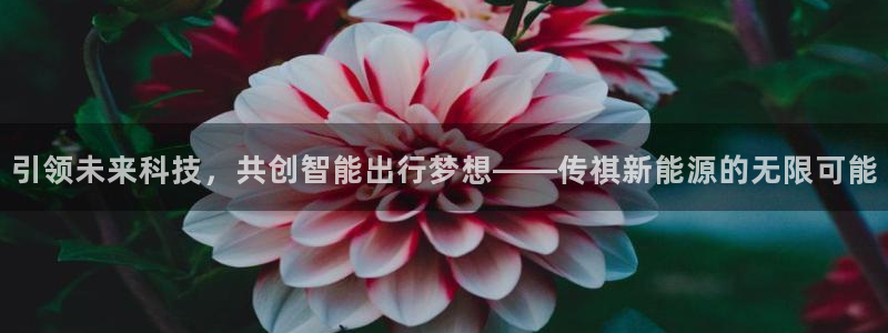 腾众娱乐是什么:引领未来科技,共创智能出行梦想——传祺新能源