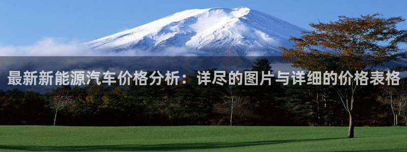 腾众娱乐是个啥:最新新能源汽车价格分析:详尽的图片与详细的价