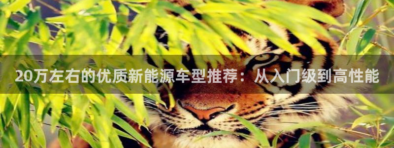 众腾娱乐蚀 7O935:20万左右的优质新能源车型推荐:从入