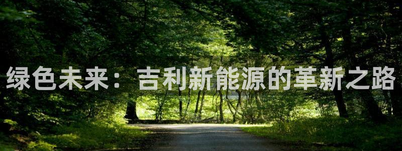 内蒙古众腾娱乐文化法人:绿色未来:吉利新能源的革新之路