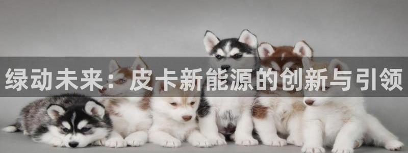 包头众腾娱乐密室逃脱:绿动未来:皮卡新能源的创新与引领