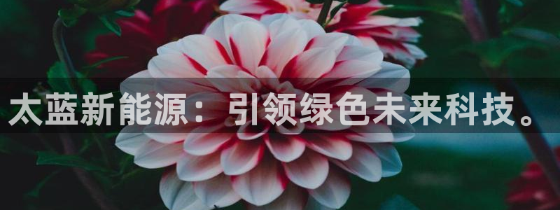 腾众娱乐是个啥：太蓝新能源：引领绿色未来