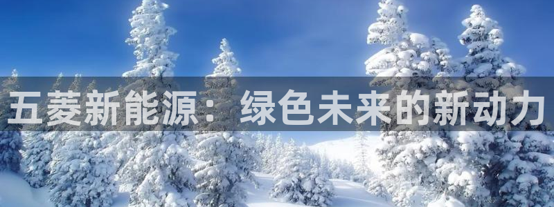 云南众腾娱乐：五菱新能源：绿色未来的新动