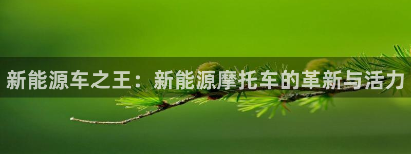 众腾娱乐:新能源车之王:新能源摩托车的革新与活力