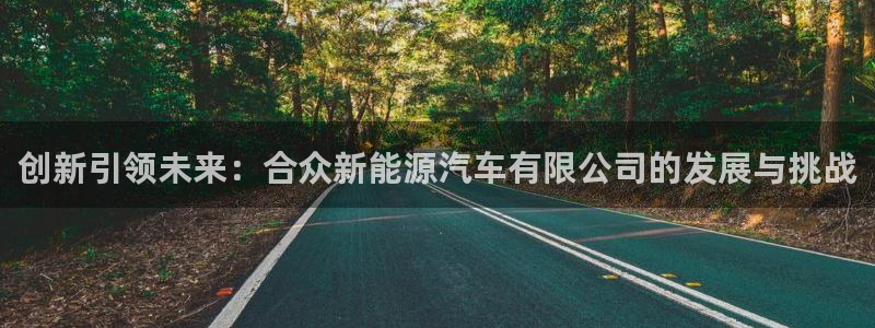 腾众娱乐是什么:创新引领未来:合众新能源汽车有限公司的发展与