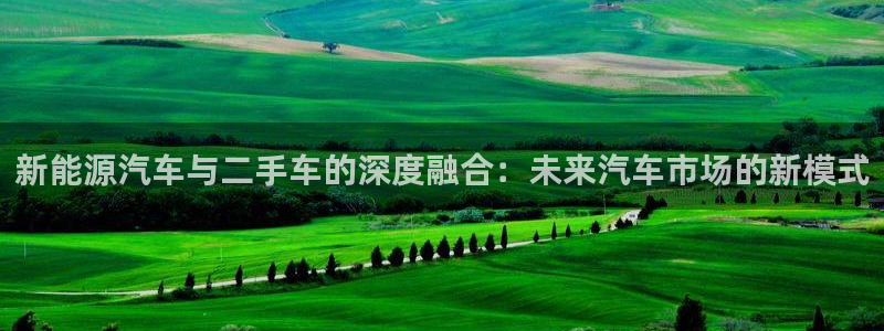 众腾娱乐客服:新能源汽车与二手车的深度融合:未来汽车市场的新