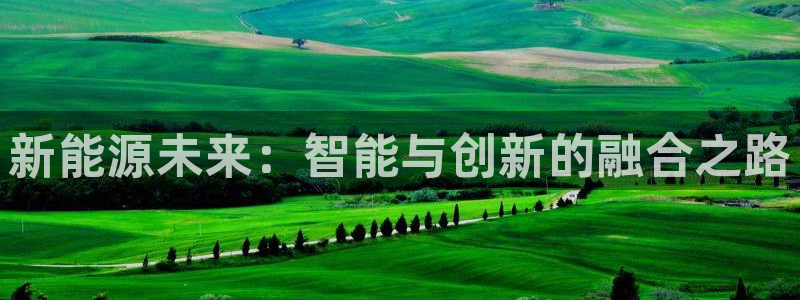 众腾娱乐客服:新能源未来:智能与创新的融合之路