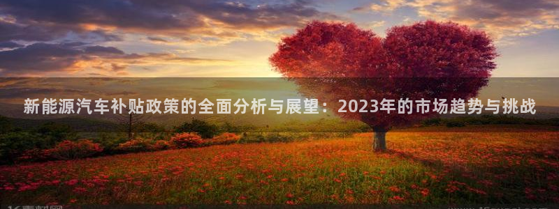 众腾娱乐平台群7O777:新能源汽车补贴政策的全面分析与展望