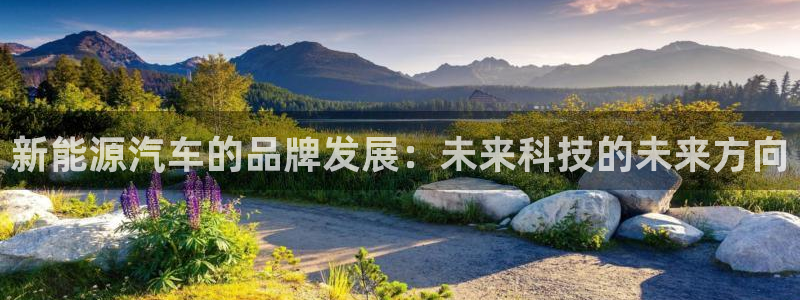 包头众腾娱乐密室逃脱:新能源汽车的品牌发展:未来科技的未来方